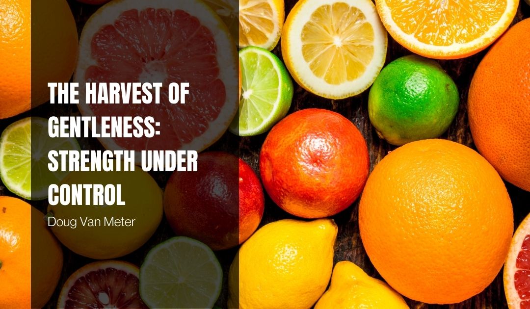 The Harvest of Gentleness: Strength Under Control