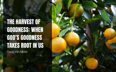 The Harvest of Goodness: When God’s Goodness Takes Root in Us
