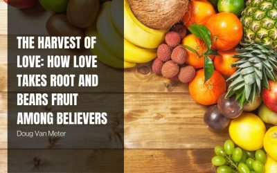 The Harvest of Love: How Love Takes Root and Bears Fruit Among Believers